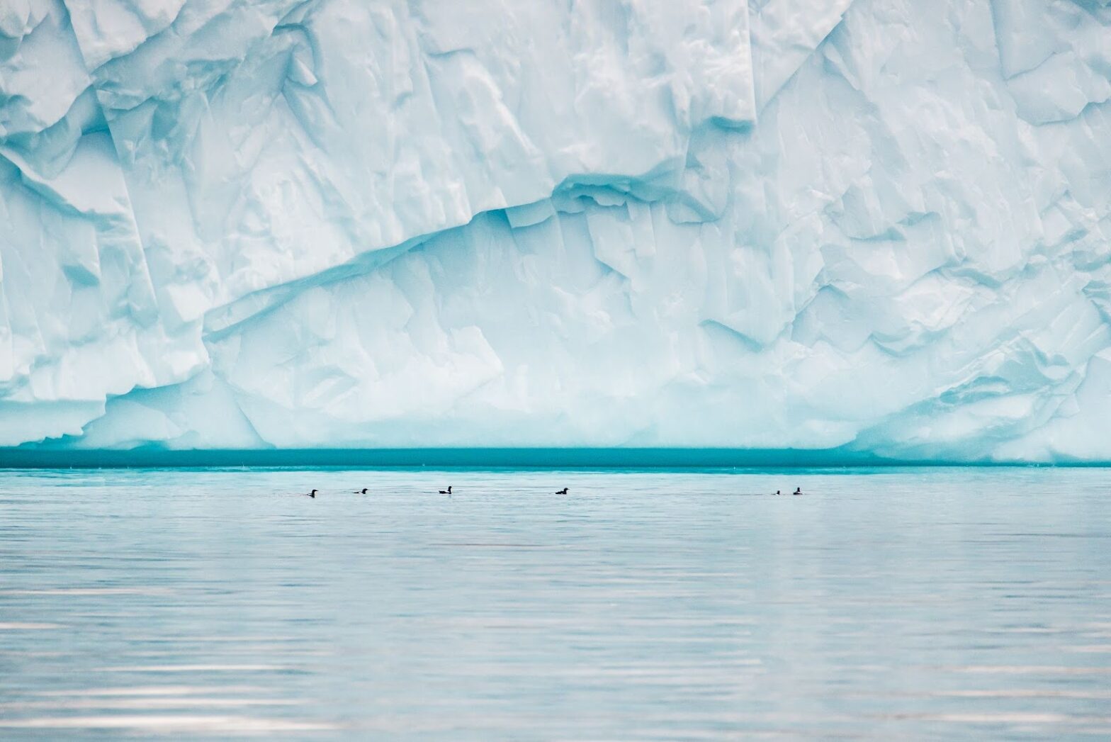 Massive iceberg in ocean