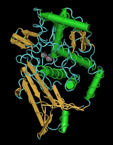 Rendering of the molecular structure of a functional unit of octopus hemocyanin