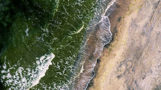 Beach waves approaching the shore