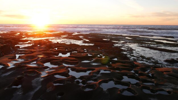 Intertidal zone