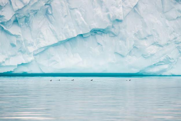 Tidewater Glacier